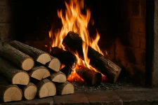 Haagbeukhout: De ideale keuze voor een efficiënte en sfeervolle warmtebron